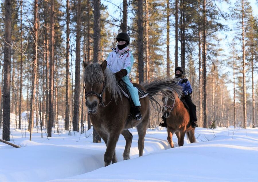 Levi: Snowy Forest Ride and Polar Lights Tours - Key points to know before you book