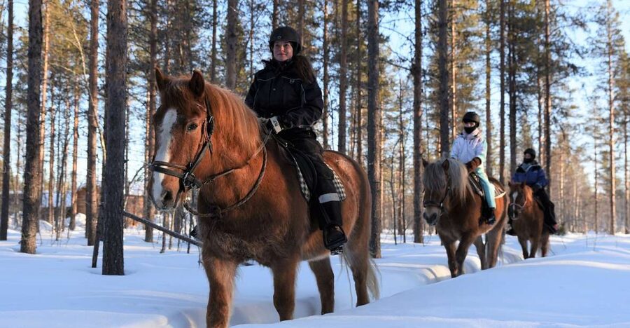 Levi: Snowy Forest Ride and Polar Lights Tours - A quiet way to see Lapland on horseback