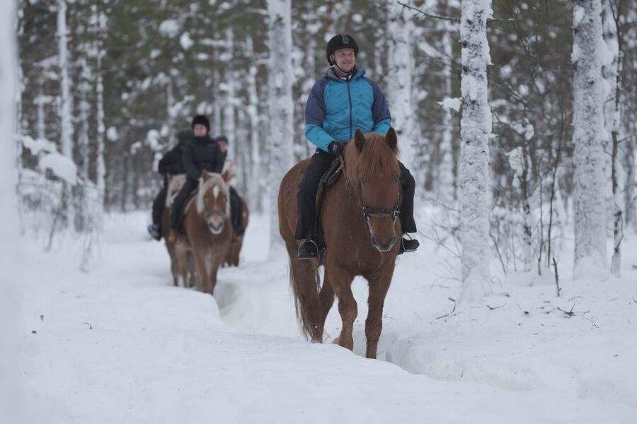 Levi: Snowy Forest Ride and Polar Lights Tours - Picking the right start time for your riding level