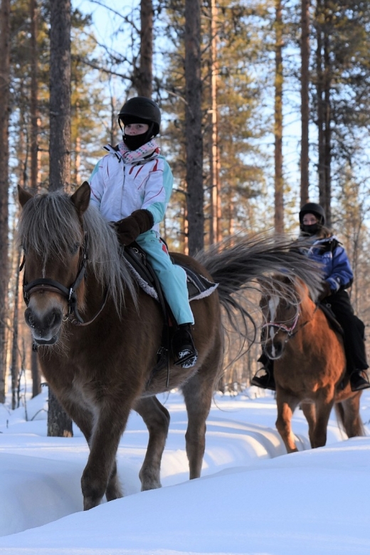 Levi: Snowy Forest Ride and Polar Lights Tours - The 10-minute briefing makes beginners feel ready