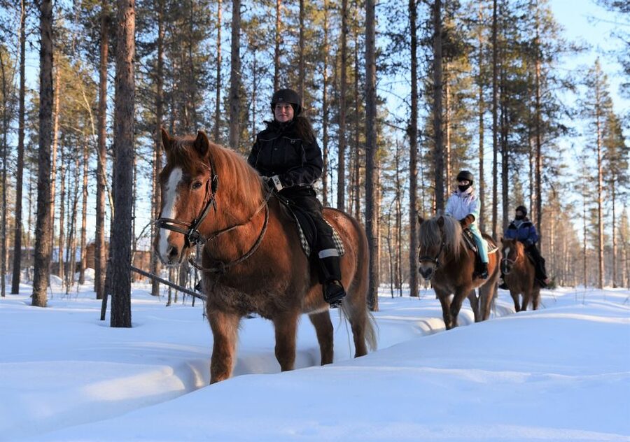 Levi: Snowy Forest Ride and Polar Lights Tours - From Hissitie 11 to the horse farm
