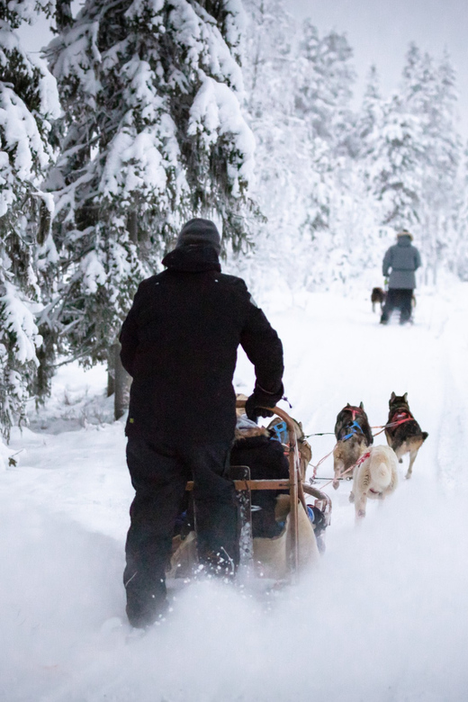 Levi: Winter Highlights Family Day - Should you book the Levi Winter Highlights Family Day?