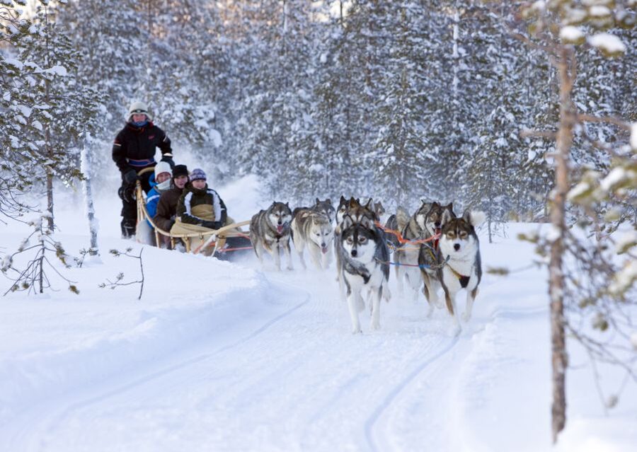 Levi: Winter Highlights Tour with Snowmobiling - Key points to know before booking