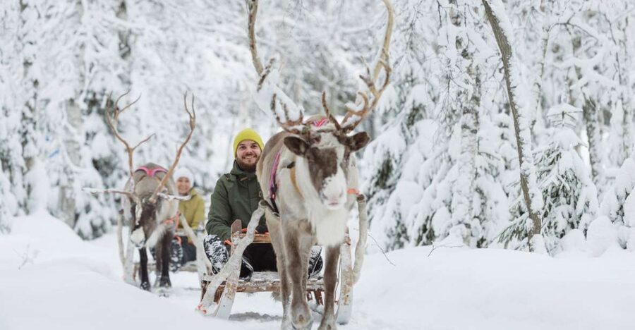 Levi: Winter Highlights Tour with Snowmobiling - A quieter visit with reindeer