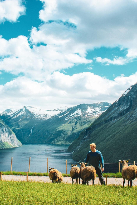 Ljøen, Hellesylt: Ljøen Farm Tour - The one-hour schedule, step by step