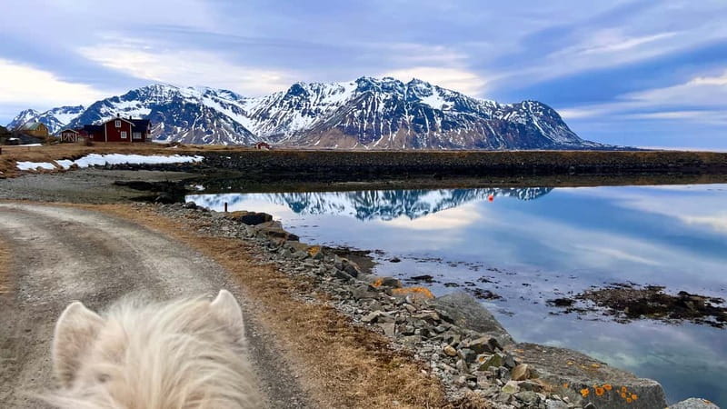 Lofoten: Guided Horse Riding Tour Over Hov and Hovsund - Why this horseback ride feels distinctly Lofoten