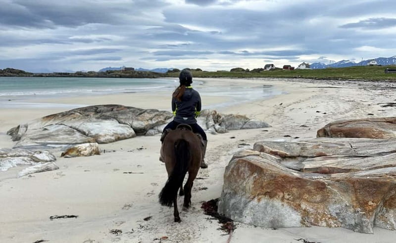 Lofoten: Guided Horse Riding Tour Over Hov and Hovsund - Practical advice for a smooth ride
