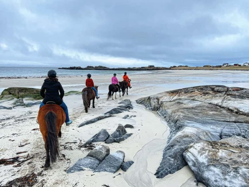 Lofoten: Guided Horse Riding Tour Over Hov and Hovsund - Meeting your horse at Hov Gård