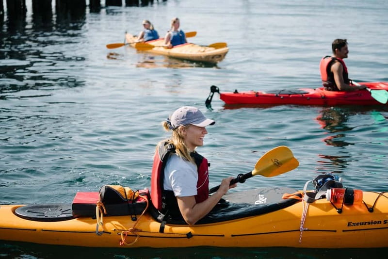 Lofoten: Guided Kayak Experience - What happens at Sjømannsgata 5