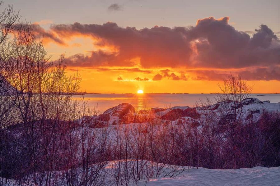 Lofoten: Half-Day Guided Tour with Photo Stops - Unstad surfing beach and Lofoten’s wild side