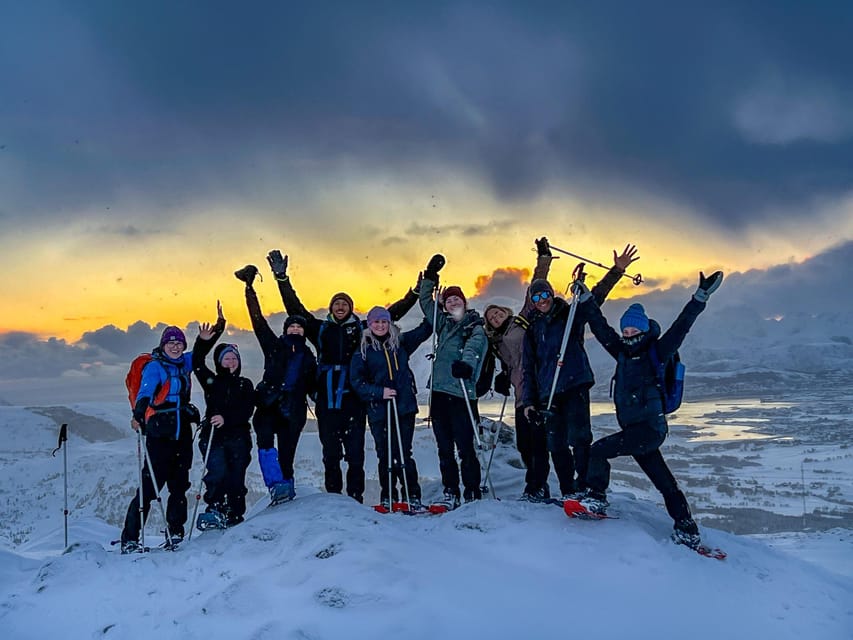 Lofoten: Half Day Snowshoe Tour - Reading animal tracks in the snow