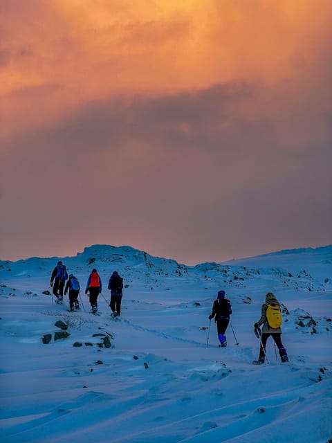 Lofoten: Half Day Snowshoe Tour - The warm break that makes four hours work