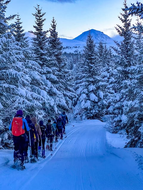 Lofoten: Half Day Snowshoe Tour - What to wear for Lofoten winter weather
