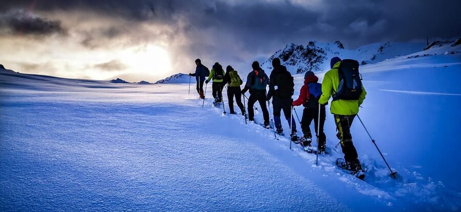 Lofoten: Half Day Snowshoe Tour - Is $103 a fair price?
