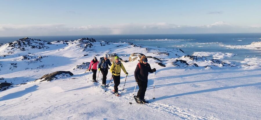 Lofoten: Half Day Snowshoe Tour - Who will enjoy this snowshoe tour most