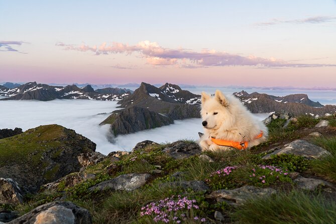 Lofoten Islands: Hiking Into the Wilderness - How this compares with hiking alone