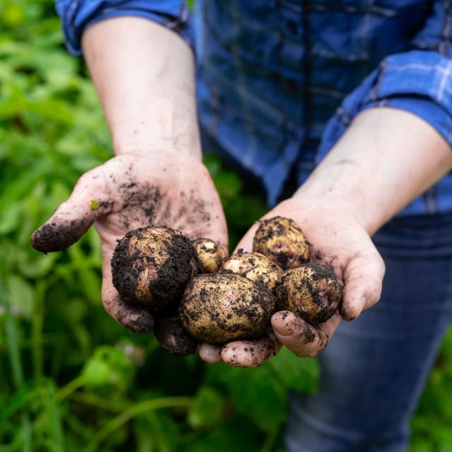 Lofoten (Stamsund and Leknes): Aimees Farm Experience - Practical planning before you book