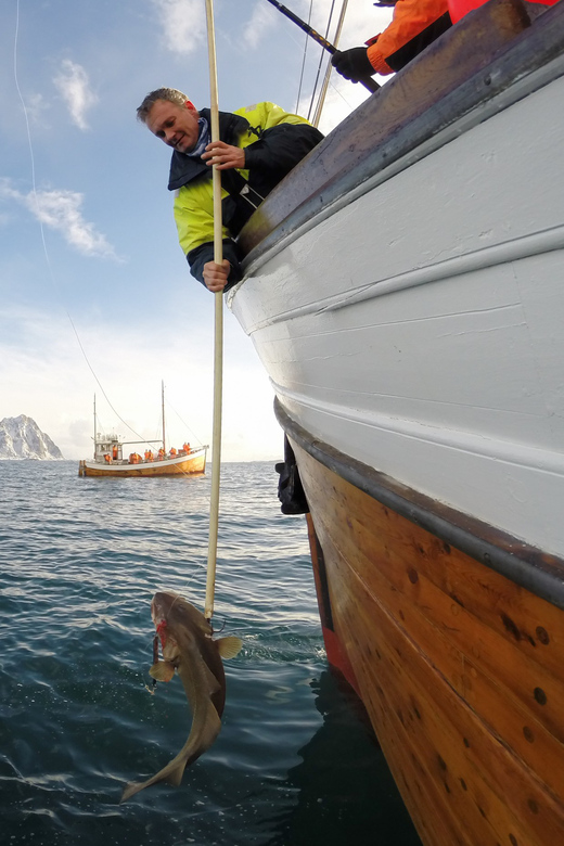 Lofoten: Traditional Fishing Trip - Key points to know before you book