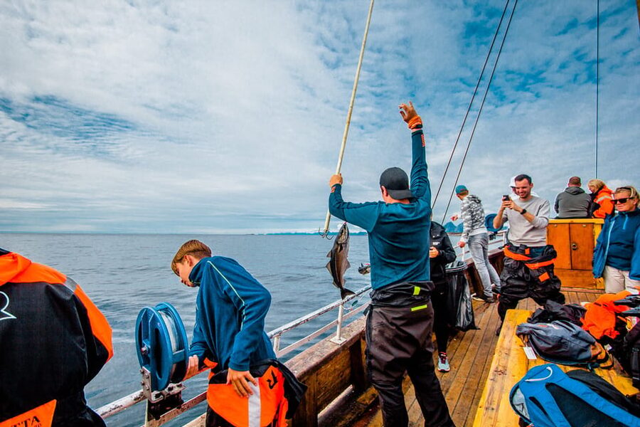 Lofoten: Traditional Fishing Trip - The value of a $146 price