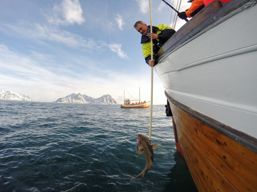 Lofoten: Traditional Fishing Trip - What you might catch by season