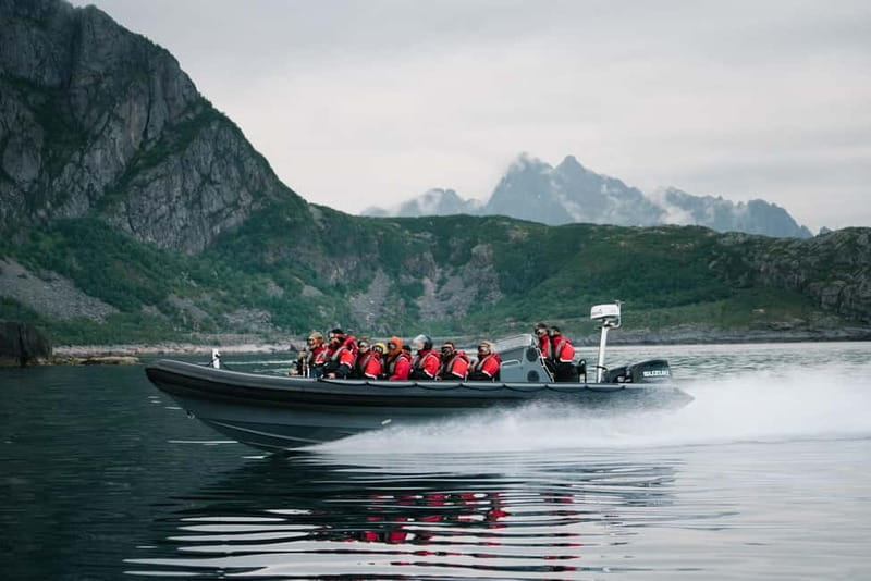 Lofoten: Trollfjord Sea Eagle Safari by RIB Boat - Key points to know before you book