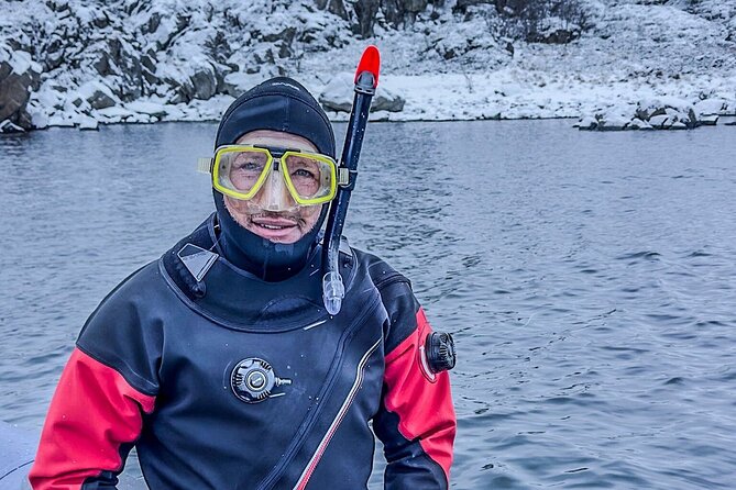 Lofoten Unique Snorkeling Experience in Dry Suit - Looking into Lofoten’s kelp forest