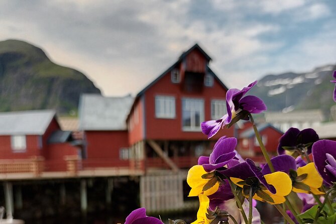 Lofoten VIP PRIVATE Tour from Leknes city / port - Haukland Beach: White Sand Under Arctic Mountains