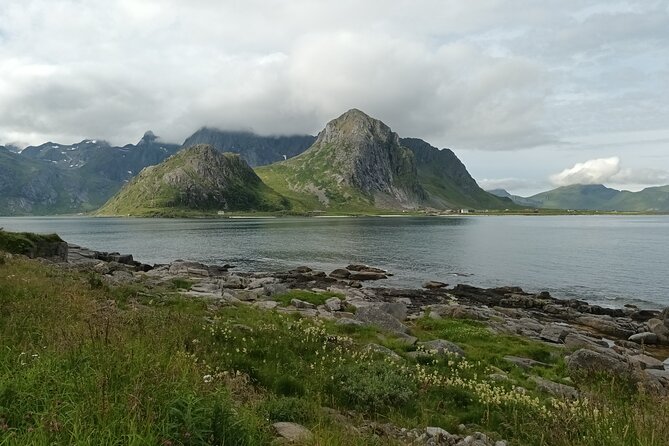 Lofoten VIP PRIVATE Tour from Leknes city / port - Sakrisoya: The Best Place for a Proper Pause