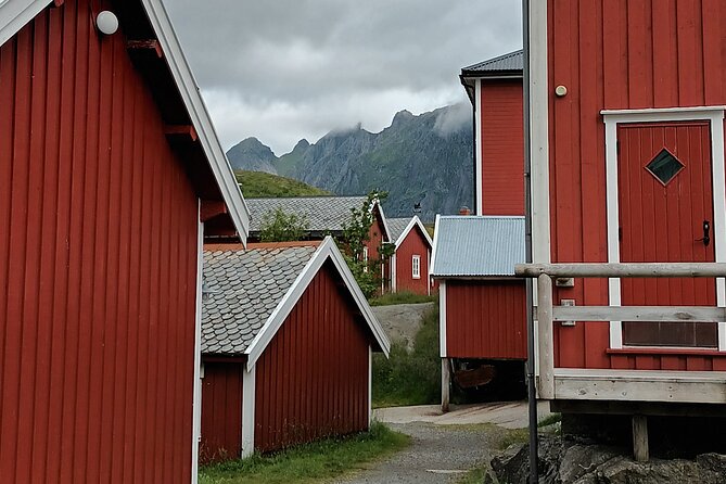 Lofoten VIP PRIVATE Tour from Leknes city / port - Hamnoy and Reinehalsen: Lofoten’s Famous Views