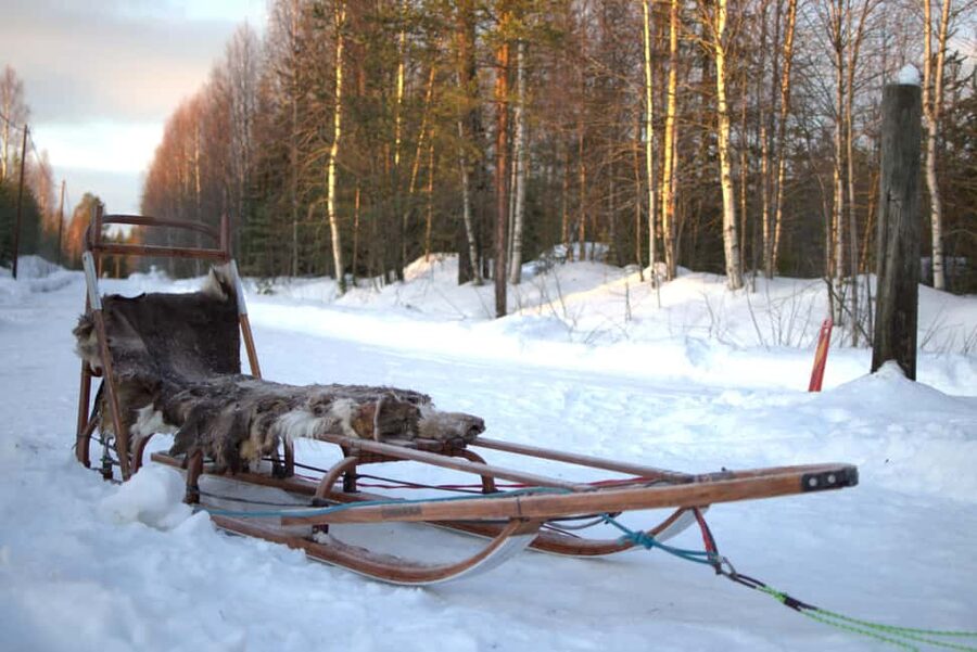 Luleå: Guided Dog Sledding Tour - A useful stop to rest the dogs
