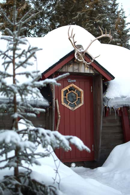 Luleå: Guided Dog Sledding Tour - The best part for animal lovers comes afterward