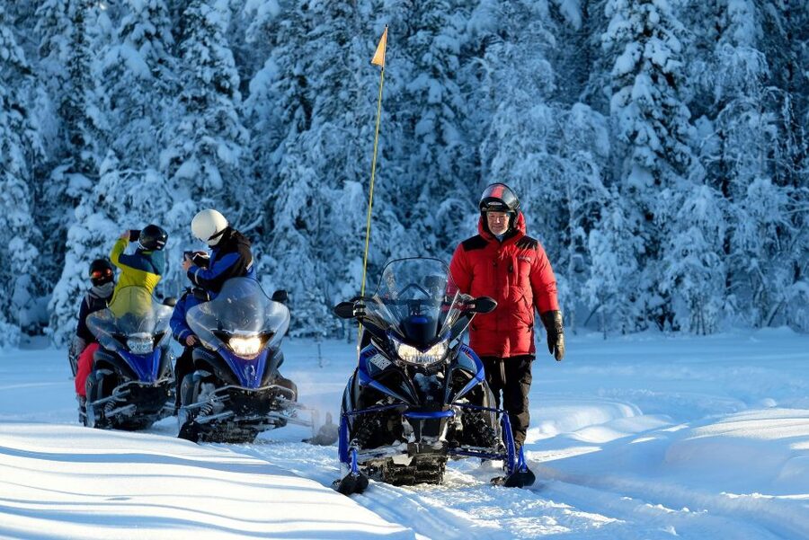 Luleå : Snowmobile - Forest and Ice Nature Tour 2h - Should you book the Luleå snowmobile tour?