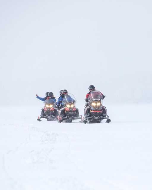 Luleå : Snowmobile - Forest and Ice Nature Tour 2h - FAQ