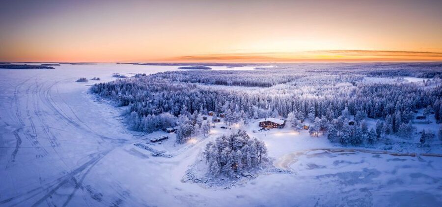Luleå : Snowmobile - Forest and Ice Nature Tour 2h - Forest trails, frozen lakes, and sea ice