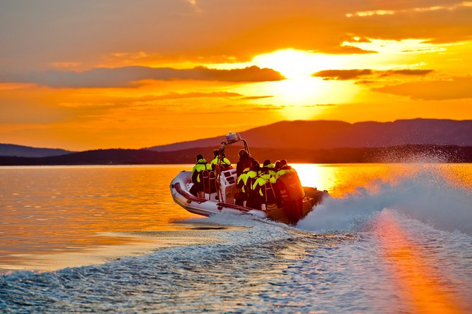 Lysefjord RIB Safari from Stavanger - Is $134.95 a fair price?