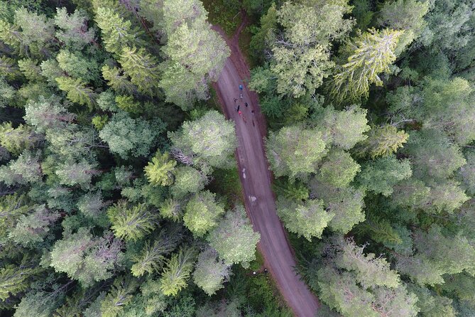 Magical Taiga Forest Hike with Lunch and Transportation - Lakefront lunch by a campfire