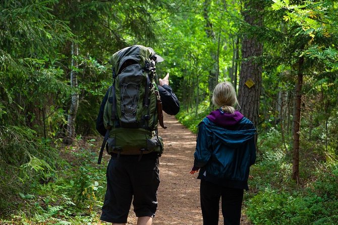 Magical Taiga Forest Hike with Lunch and Transportation - Weather, clothing, and practical comfort