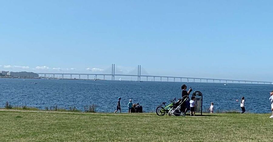 Malmö: 3-Hour Guided Walking Tour - Kungsparken and Slottsparken