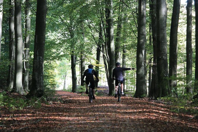 Malmo Bike Rental - Key points for planning your Malmö ride