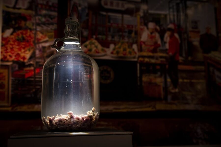 Malmö: Disgusting Food Museum Entrance Ticket - What the staff add to the experience