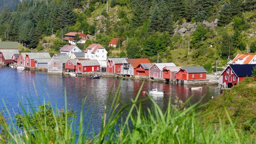 Måløy: Electric Minibus Tour to Kannesteinen - Is $60 a fair price for one hour?