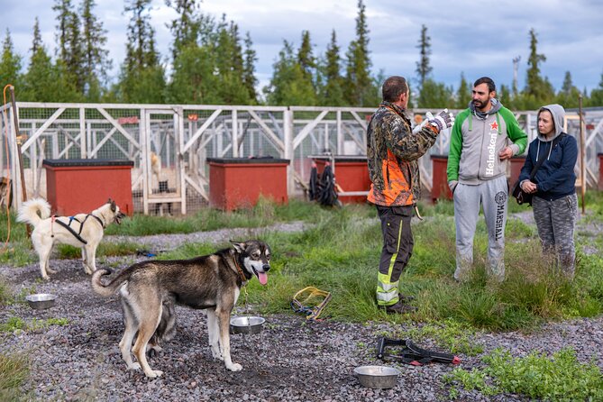 Meet 70 Huskies and Enjoy a short ATV Tour with the Huskies - Learning how sled dogs live in northern Sweden