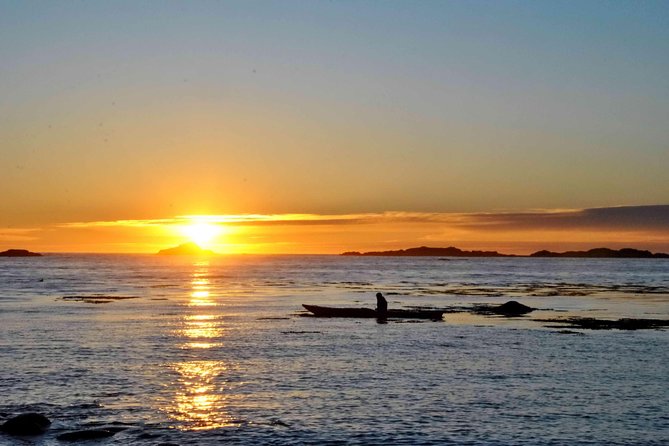 Midnight Sun Kayak - Northern Explorer - What happens during the three-hour outing