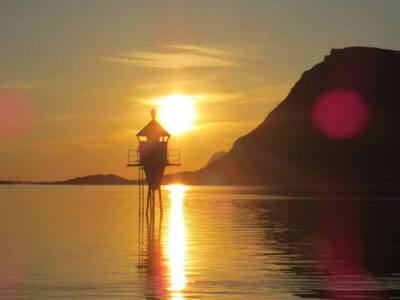 Midnight sun safari