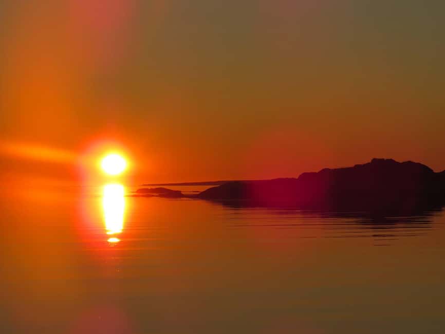 Midnight sun safari - Watching for eagles, seals, puffins, and whales
