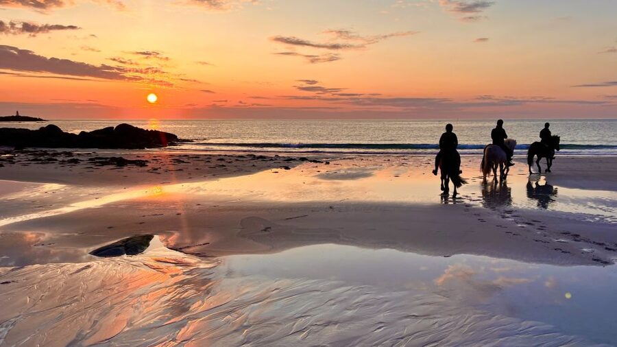 Midnight sun tour - Key points to know before you book