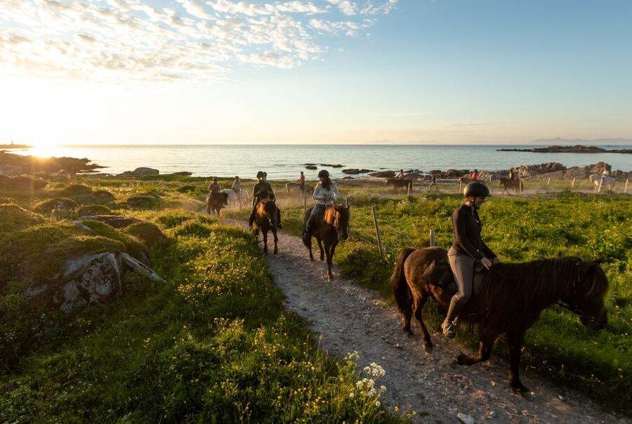 Midnight sun tour - Hovsund, fish-drying racks, and Viking traces