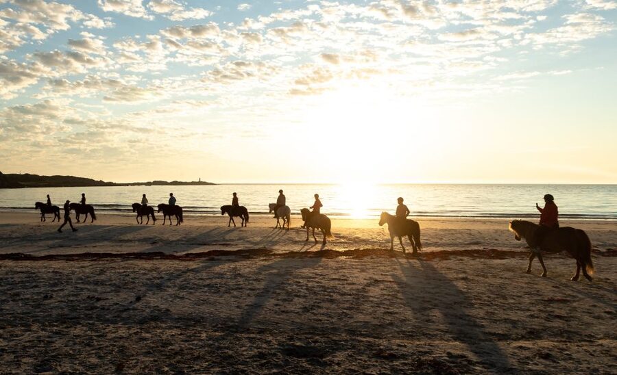 Midnight sun tour - Who should book this horseback ride?