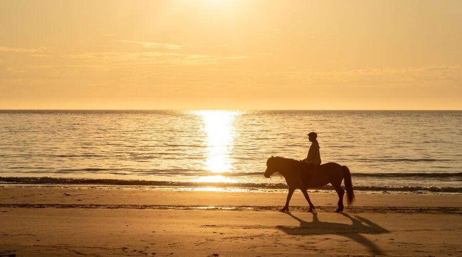 Midnight sun tour - Should you book the Hov Gård midnight sun ride?