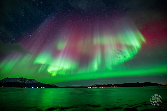 Minibus Northern Lights Chase with Photography from Tromsø - Key points to know before you book